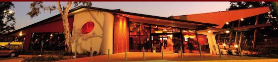 The Terrace Logo and Images