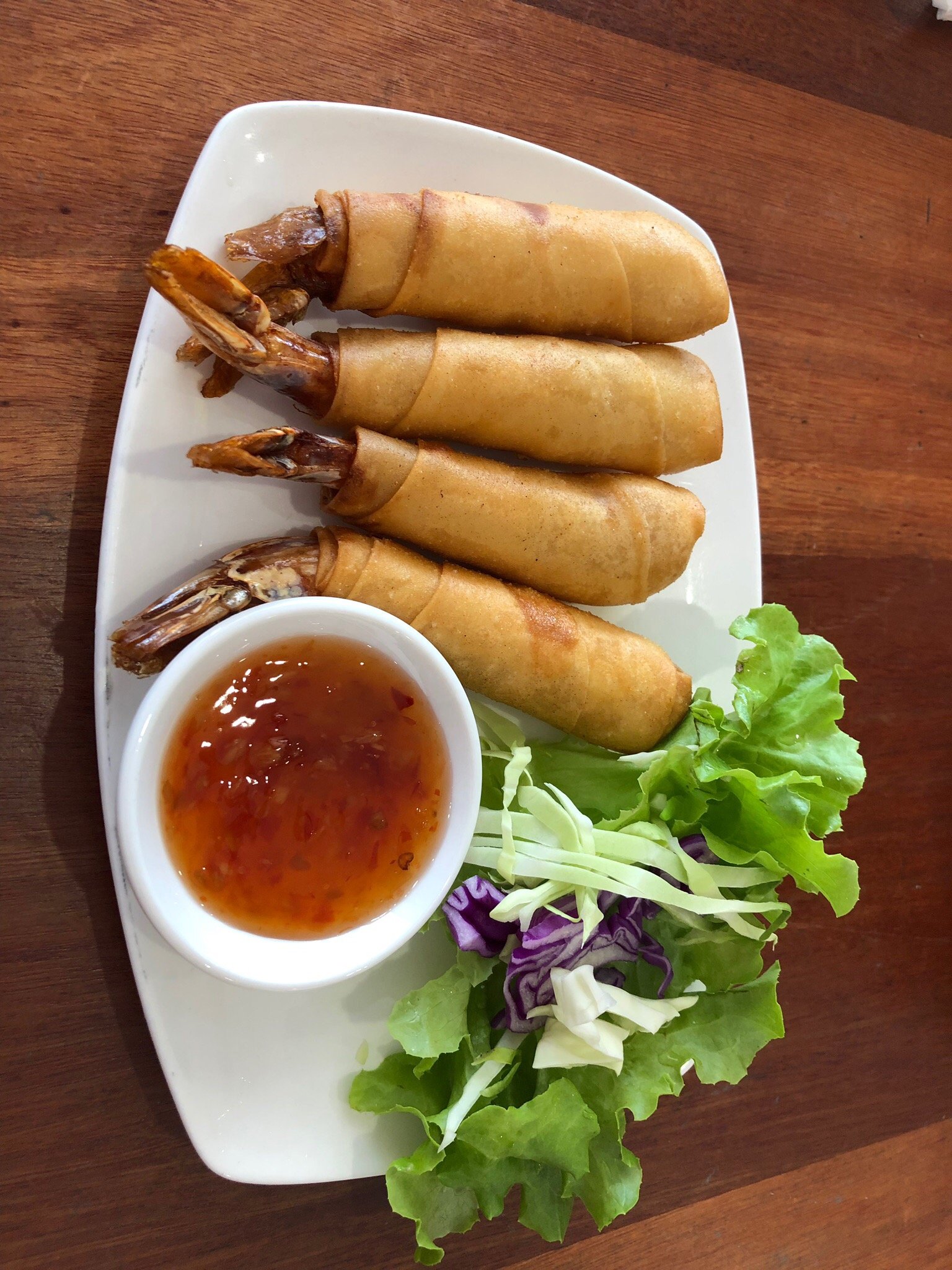 Pinto Thai Logo and Images