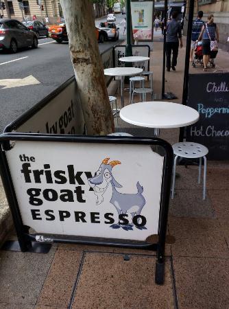 Frisky Goat Espresso Logo and Images
