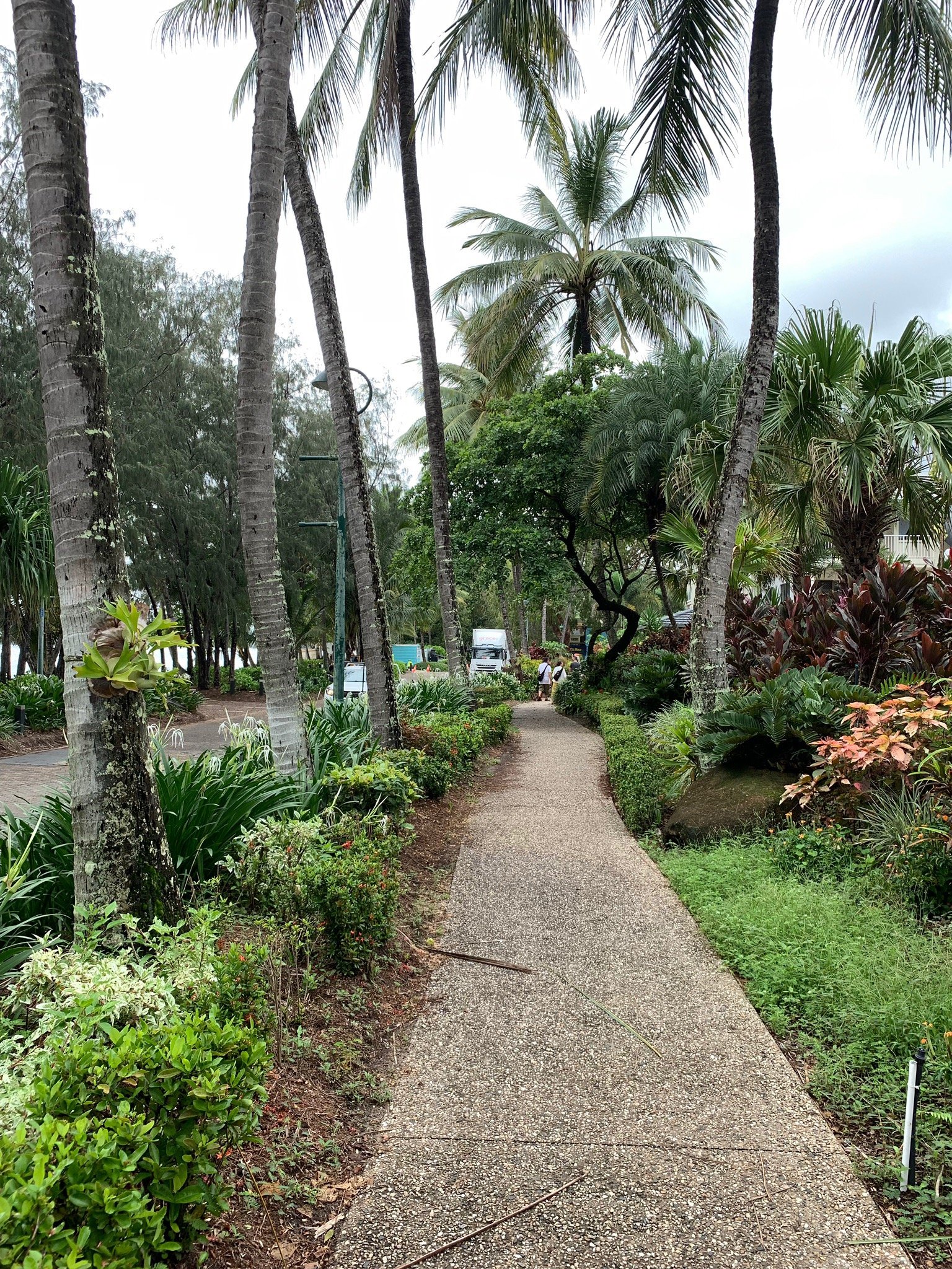 Vivo Palm Cove Logo and Images