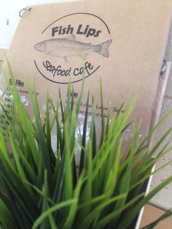 Fishlips seafood cafe Logo and Images
