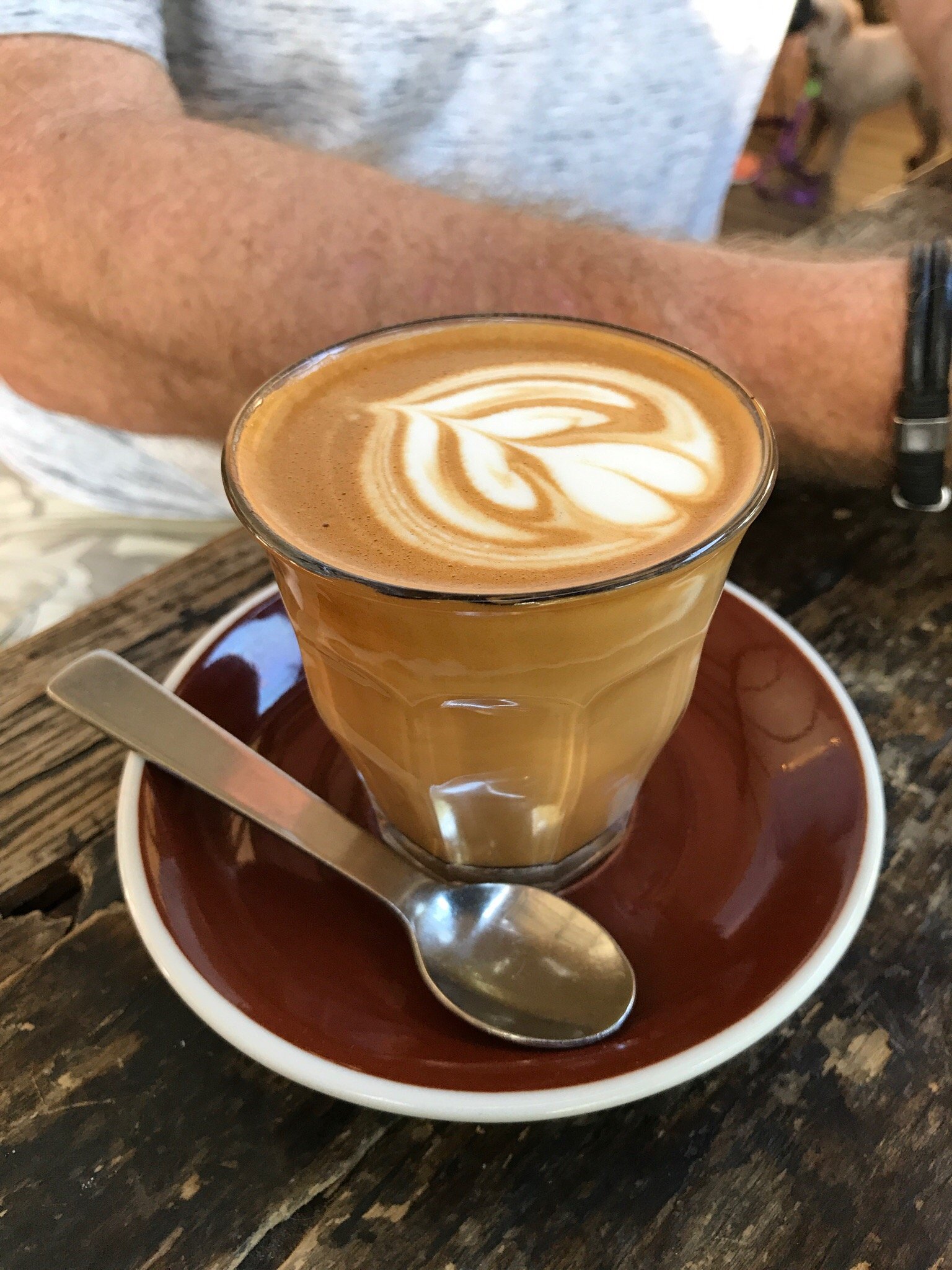 Little Cove Coffee Co. Logo and Images