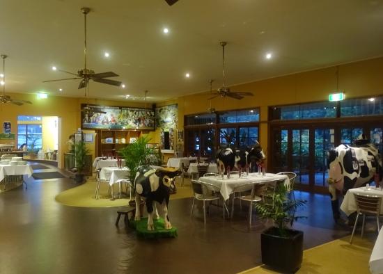 Malanda Dairy Centre Logo and Images