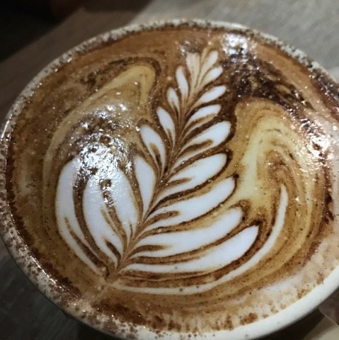 The Spring Bean Logo and Images