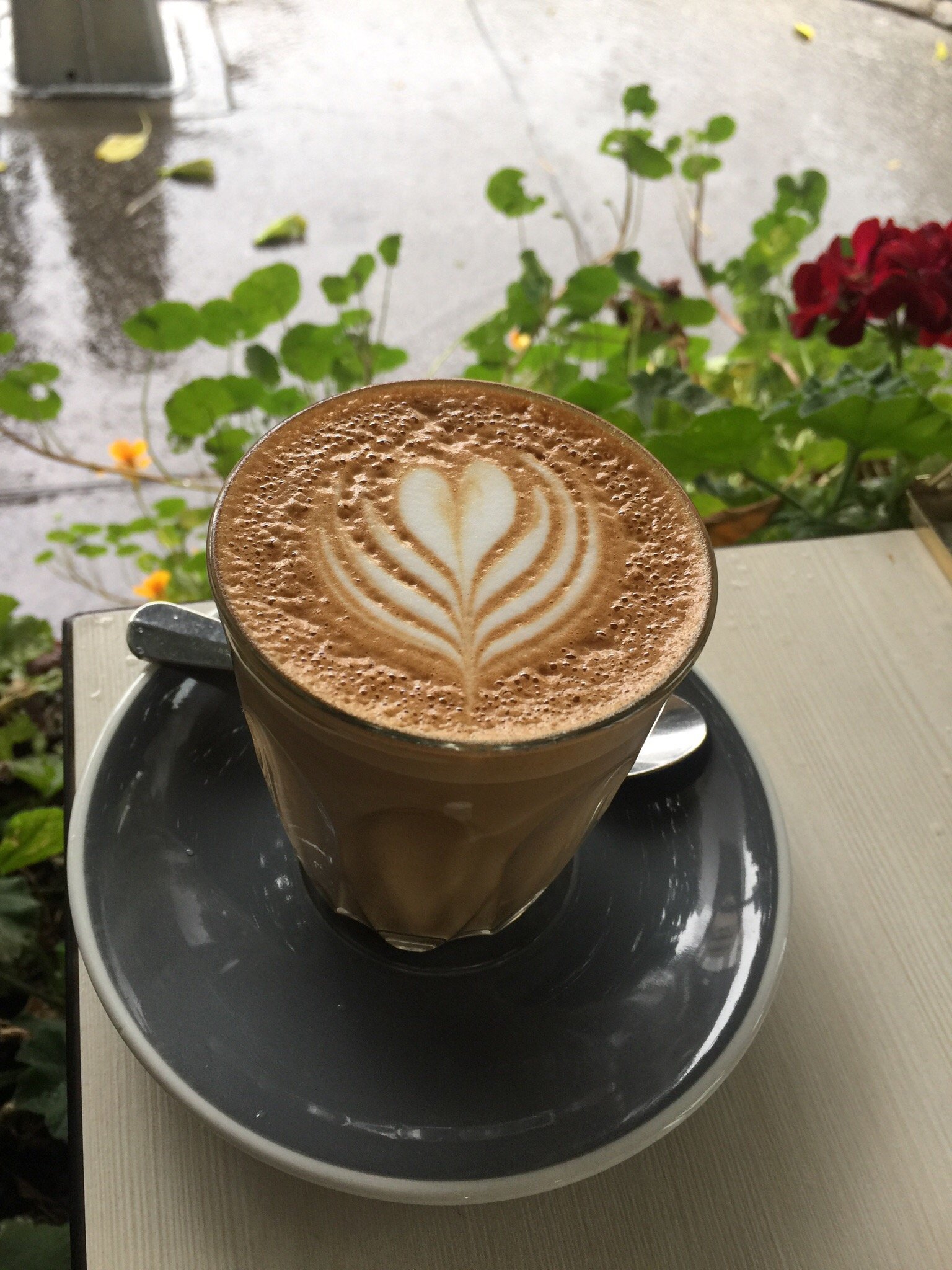 Cafe Gaia Logo and Images