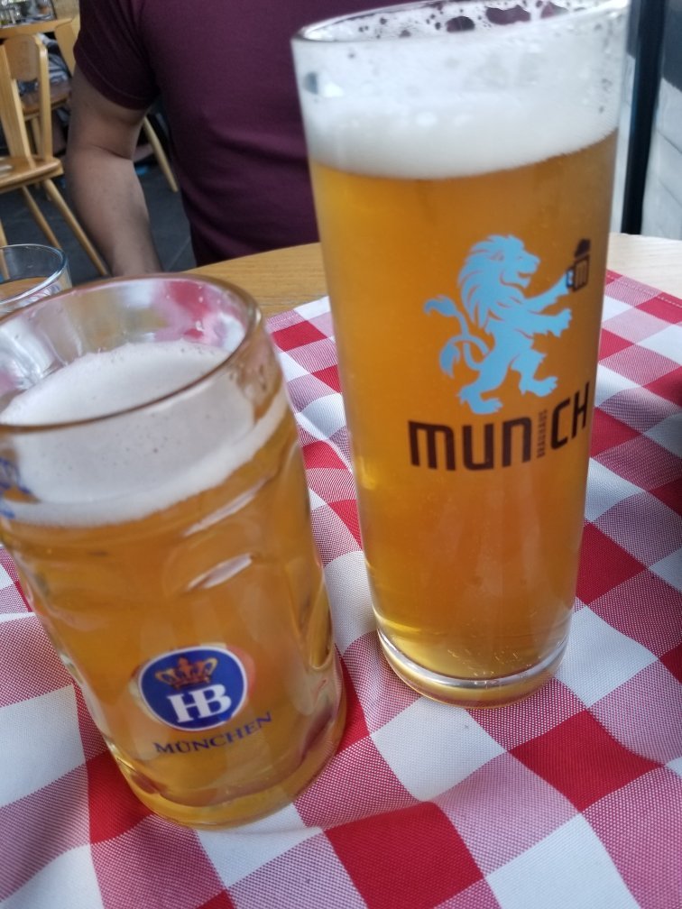 Munich Brauhaus Logo and Images