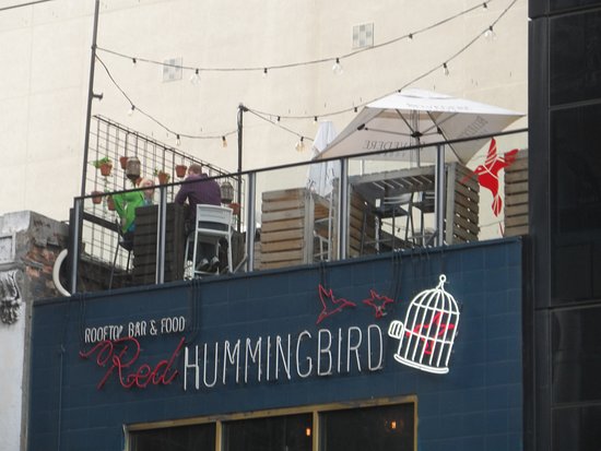 The Red Hummingbird Logo and Images