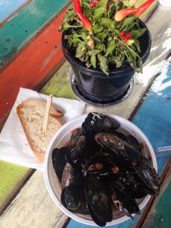 Mussel Pot Logo and Images
