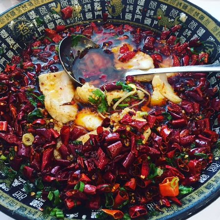 Red Chilli Sichuan Burwood Logo and Images