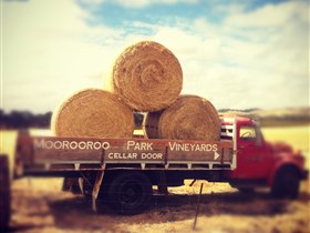 Moorooroo Park Vineyards Image