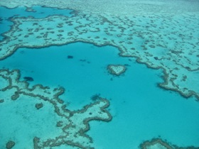 Heart Reef Image