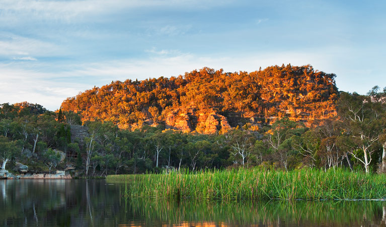 Wollemi National Park Image