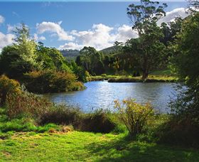 Tasmanian Arboretum Inc. - The Image